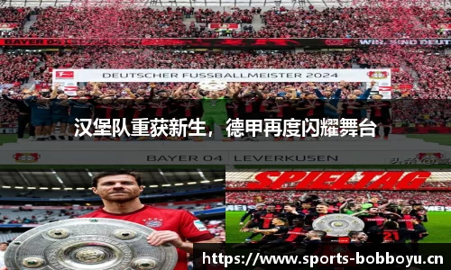 bob博鱼体育官方网站