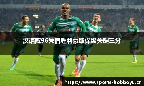 汉诺威96凭借胜利豪取保级关键三分