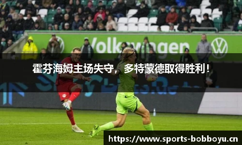 霍芬海姆主场失守，多特蒙德取得胜利！
