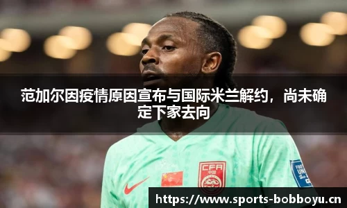bob博鱼体育