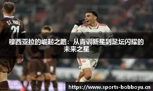 bob博鱼体育官方网站