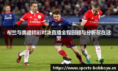 bob博鱼体育官网