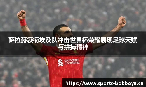 bob博鱼体育官网